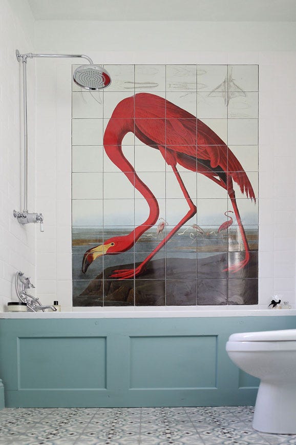 Dix Blue – Campione