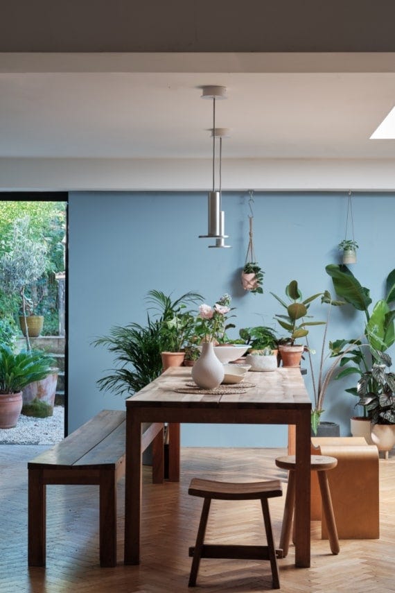 Lulworth Blue – Campione