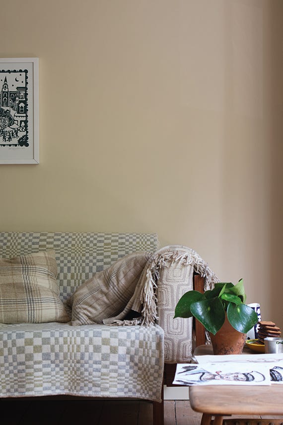 Orange Coloured White – Campione