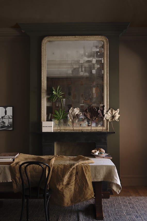 Broccoli Brown – Campione