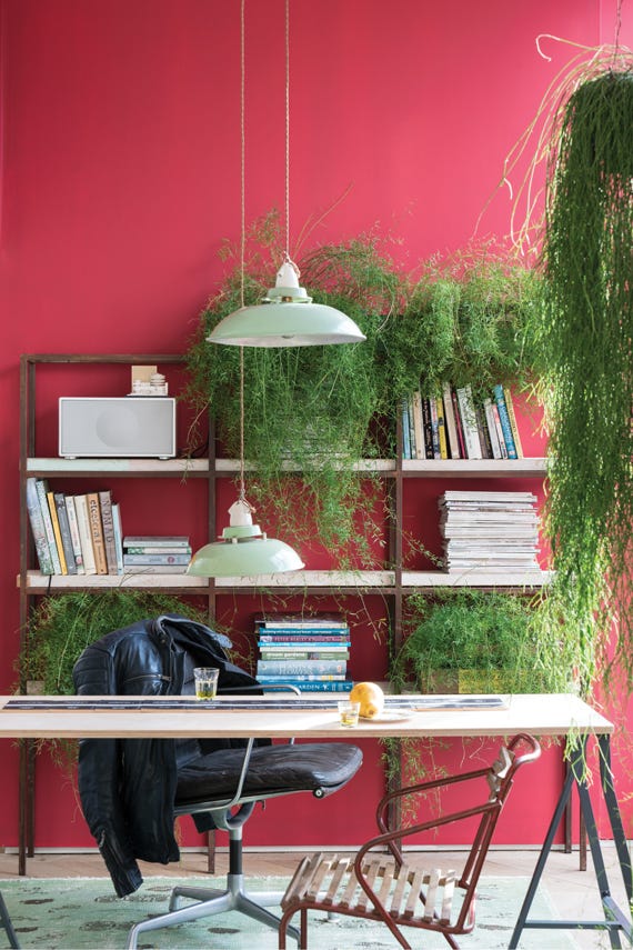 Rectory Red – Campione