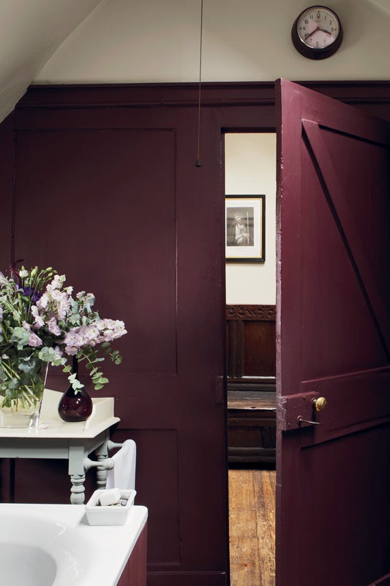 Brinjal – Campione