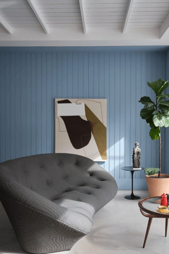 Kittiwake – Campione