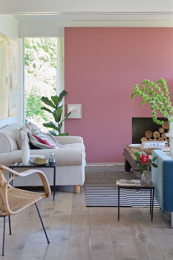 Crimson Red – Campione