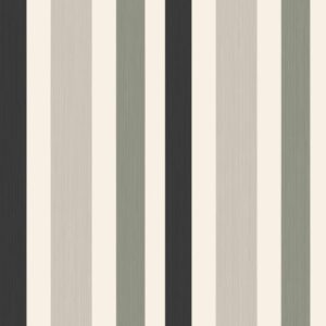 Chromatic Stripe  Wallpaper